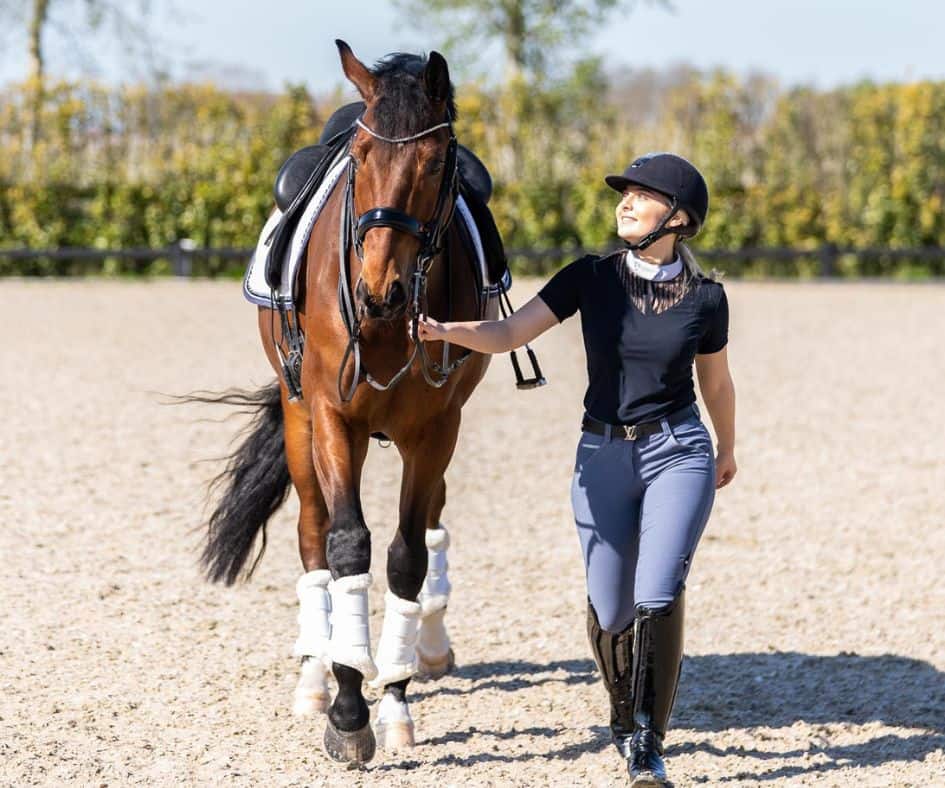 ruiter met paard in rijbaan