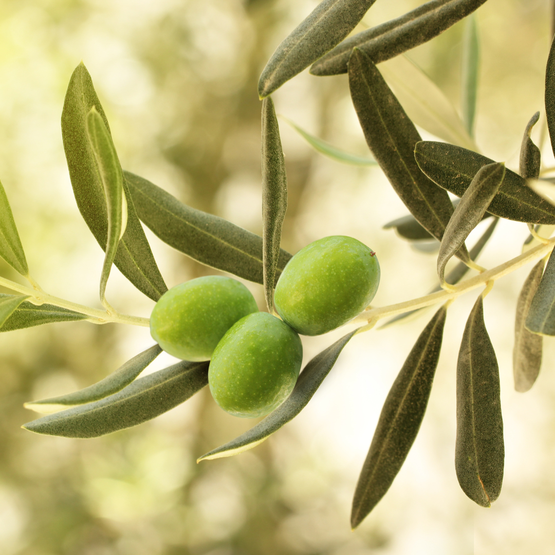 Olives