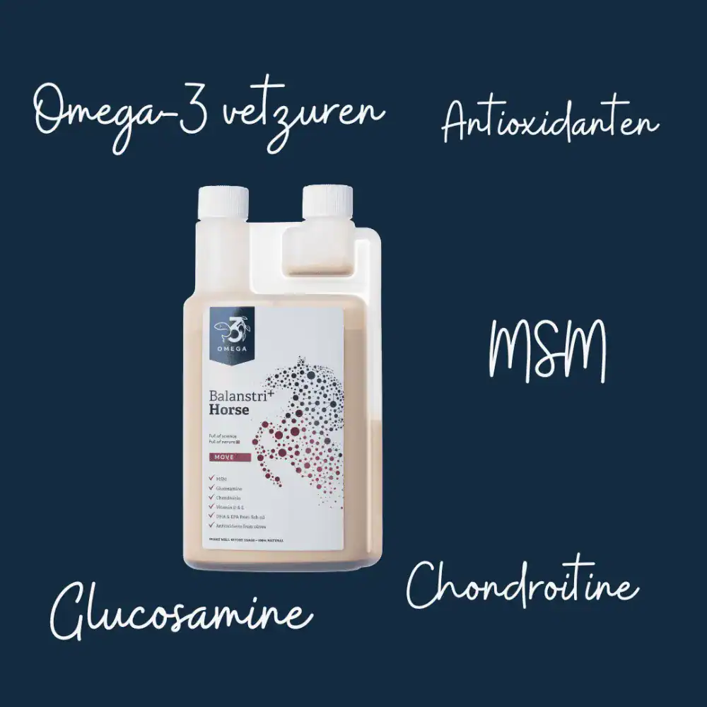 Omega-3-vetzuren-Horse