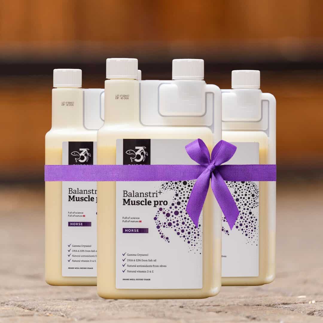 Balanstri Muscle Pro Box