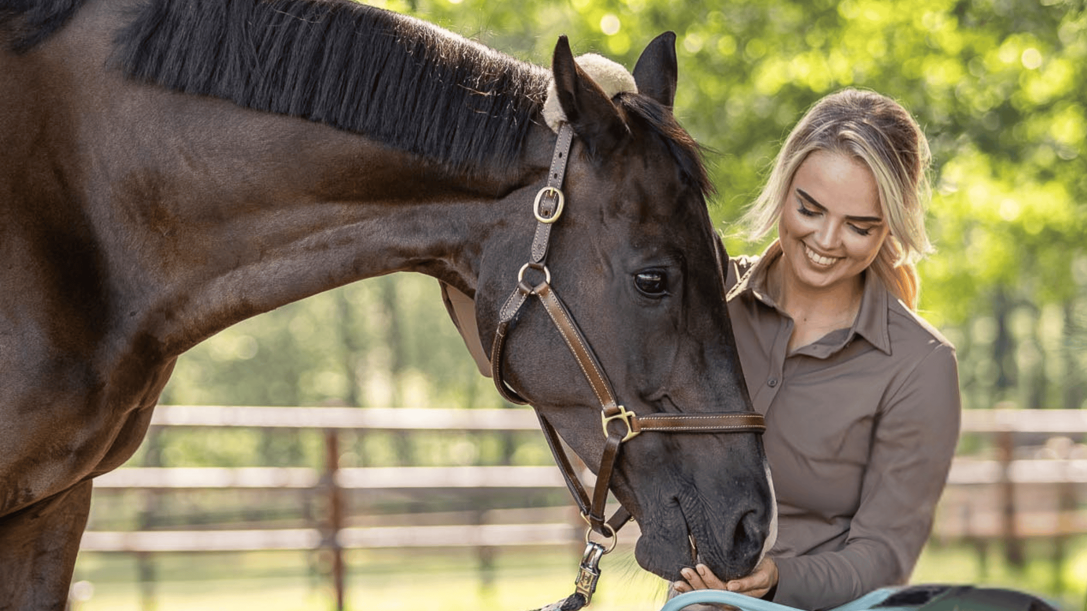 Herstel bij sportpaarden - Balanstri