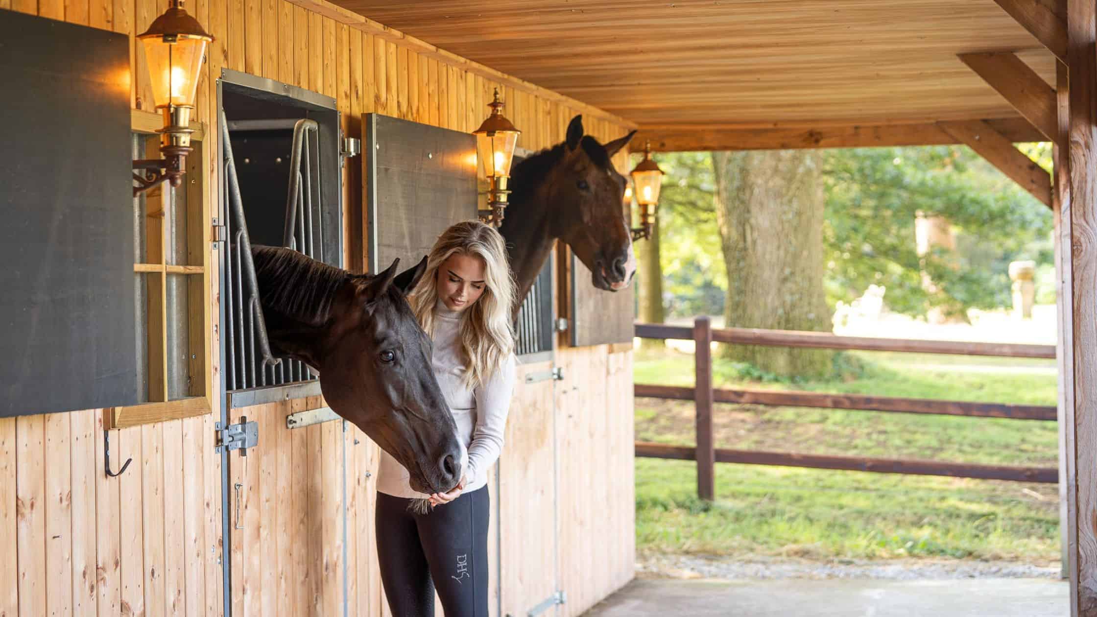 stress bij paarden - Balanstri